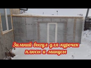Зимний выгул для кур. Плюсы и минусы. А нужен ли зимник для кур?