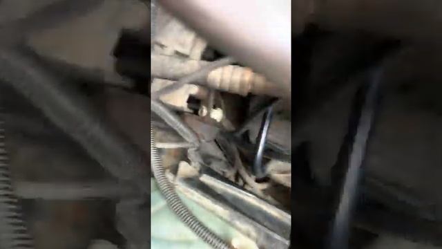 номер двигателя Om611 Mercedes Vito