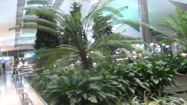 The Garden In Dubai International Airport Terminal 3 смотреть онлайн