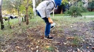 Егор собирает КАШТАНЫ И ЖЁЛУДИ ДЛЯ ПОДЕЛОК