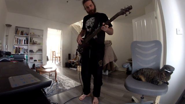 Sovirez - Stadium Heights (bass cover) смотреть онлайн