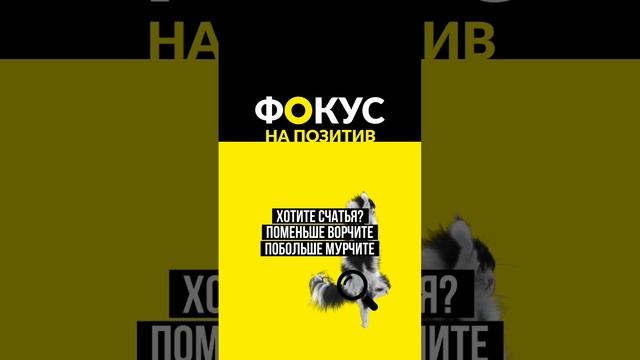 фокус на позитив