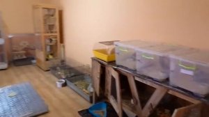 VLOG Как мы всё успеваем. У каждого свои обязанности