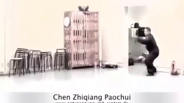 Чэнь Цзыцян главный тренер школы тайцзицюань