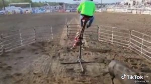 АГРЕССИВНЫЙ БЫК