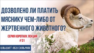 Ильшат Абу Сальман. Дозволено ли платить мяснику чем-либо от жертвенного животного? Курбан-Байрам