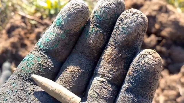 Поиск монет на старом хуторе!!! смотреть онлайн