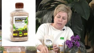 ИЗБАВЛЯЕМСЯ ОТ ПЛЕСЕНИ НА РАССАДЕ! ПРОФИЛАКТИКА И ЛЕЧЕНИЕ!