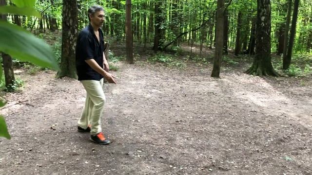 Секреты передвижения в багуачжан. Часть 2 смотреть онлайн