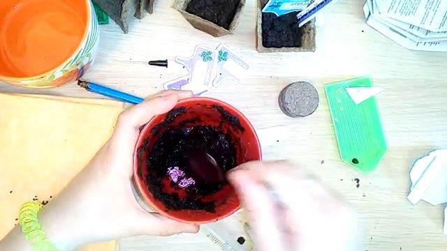 Садим базилик часть #3 смотреть онлайн