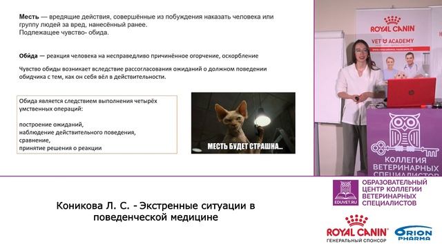 Людмила Коникова. Экстренные ситуации в поведенческой медицине смотреть онлайн