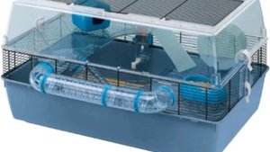 Всё о клетке для хомяка! Вся правда!? Все виды клеток!