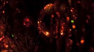 НАША ЁЛОЧКА. НОВОГОДНЯЯ ЁЛКА 2019. КАК КРАСИВА НАША ЁЛКА