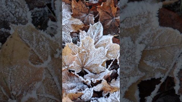 Е.А. Иванина - В ноябре (читаю свои стихи)