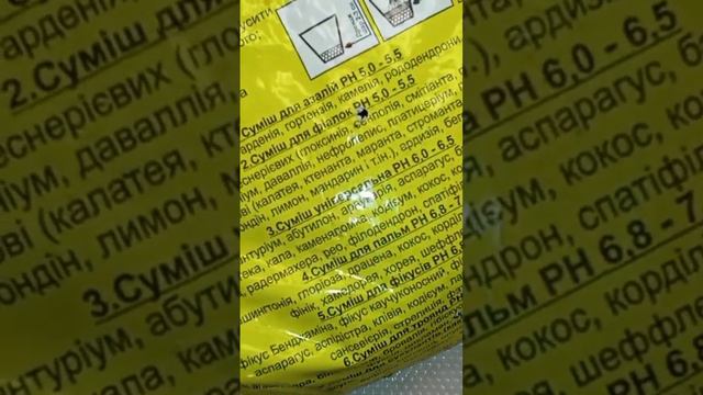 Залог отличной рассады правильно подобрать грунт и pH #посевцветов #петуния #рассада #грунт #сфагну