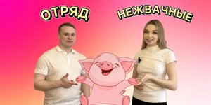 Животный мир. Отряд нежвачные. Кабан , Свинья и Бородавочник.