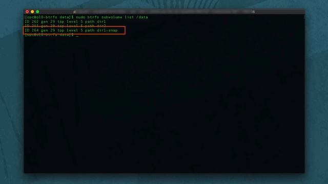Btrfs Subvolumes and Snapshots on Oracle Linux