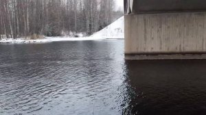 Ловля Форели на пасту На Донку #рекомендации #shortvideo #finland