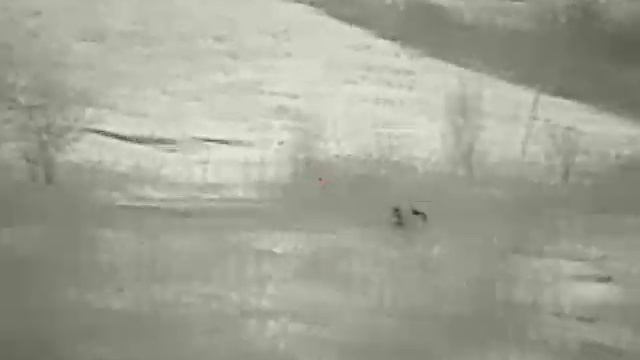 iray saim scp 19 манок нордік міні крик зайця смотреть онлайн