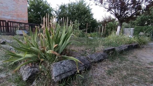 Важный этап - вертикальная планировка участка.
