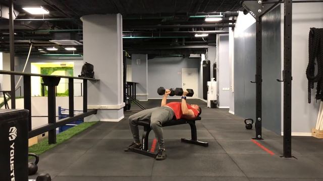 Жим лёжа французский гантелей на скамье смотреть онлайн