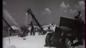 На полях Крыма, 1950 год / In Crimea fields, 1950