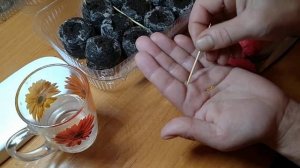 КАК СЕЯТЬ БЕГОНИЮ АМПЕЛЬНУЮ ? !