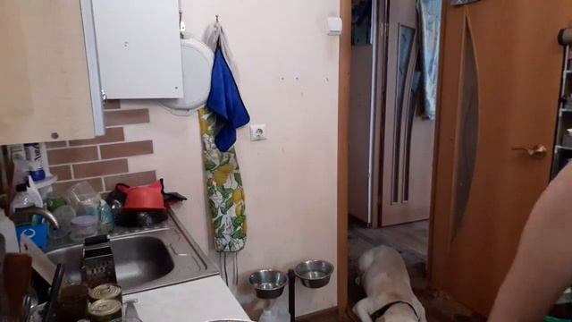 Сгорела на работе?_♀️?Мясная Солянка ?Мукбанг ?