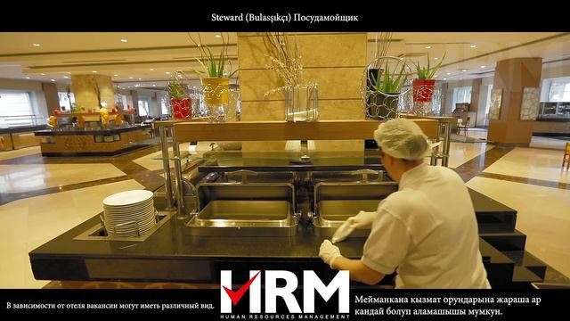 Steward/Bulasşıkçı/Посудомойщик