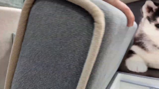 Диван детский "Канапе" смотреть онлайн