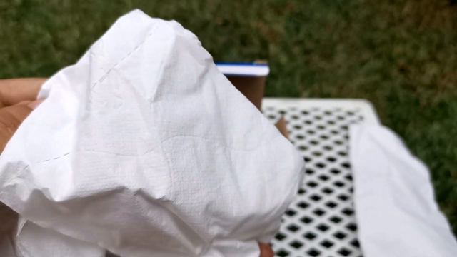 TOP 10 ECHEVERIAS MÁS HERMOSAS + LA ECHEVERIA DE MIS SUEÑOS 😍 смотреть онлайн