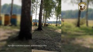Изолированный земельный облетник в России