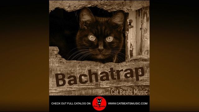 "Bachatrap" - Pista de Bachata x Latin Trap - Instrumental x Type Beat смотреть онлайн