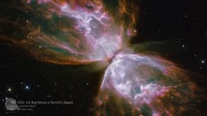 Нужно задуматься что твориться в мире.