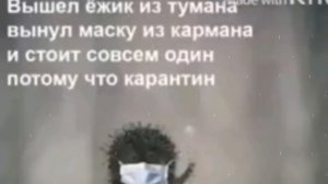 Он у меня внутри живёт 😋