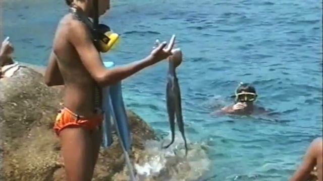 Isola del Giglio 1993