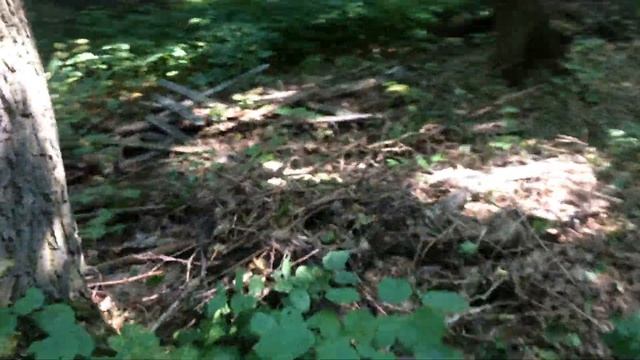 Вывоз мусора в лес смотреть онлайн