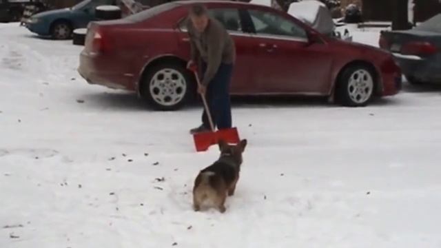 ПЕСЕЛЬ РАДУЕТСЯ СНЕГУ