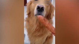 смешные моменты