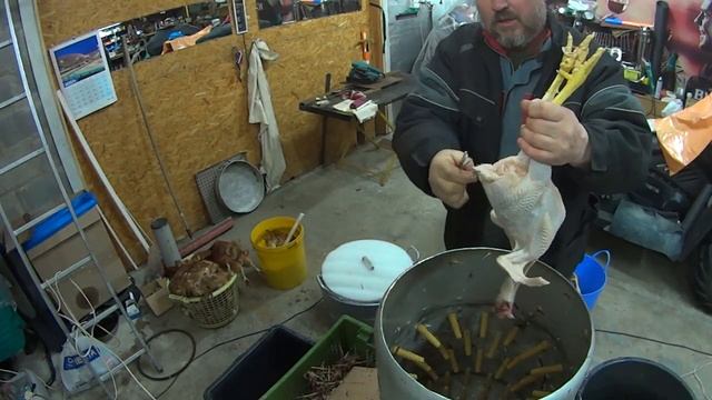 Как быстро ощипать курицу.