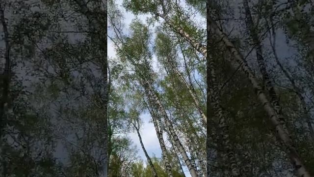 Что если ты ЧУДО! Медитация - настройка. смотреть онлайн