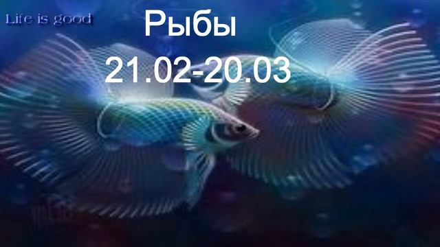 Знак зодиака Рыбы : характеристика,талисман, характер, здоровье