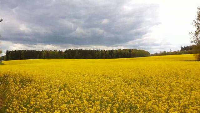 Беларусь