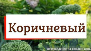 Какой цвет кошелька притягивает деньги