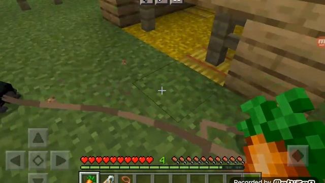 влог|| новые животные || майнкрафт смотреть онлайн