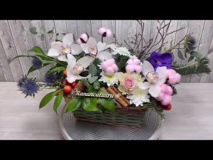 Зимняя композиция из цветов и нобилиса