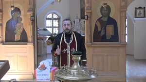 Как перенести шизофрению, научиться терпению и благодарению Бога. Священник Игорь Сильченков