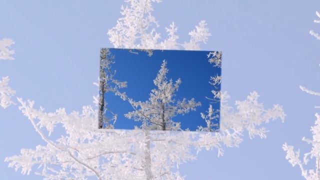 Зимняя сказка Сугомака смотреть онлайн