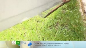 Как одному переносить крупногабаритные стройматериалы