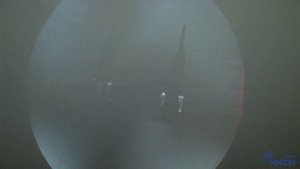 49. Волны и оптика. Анизотропное вещество между поляризаторами: нагруженная балка.mp4